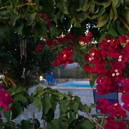 Zamaros Traditional Villa